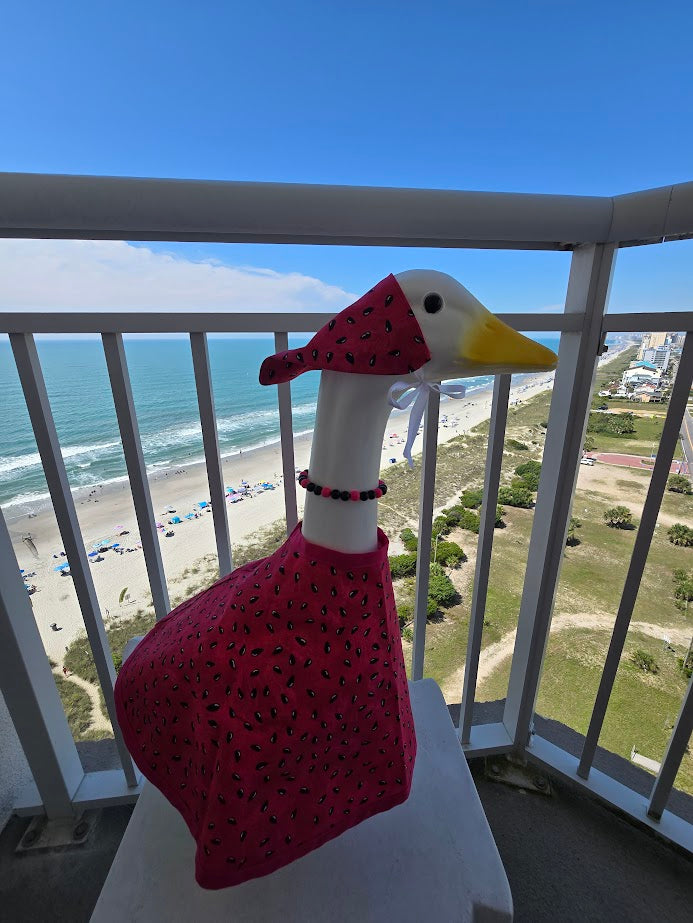 Watermelon Whimsy Porch Goose Outfit