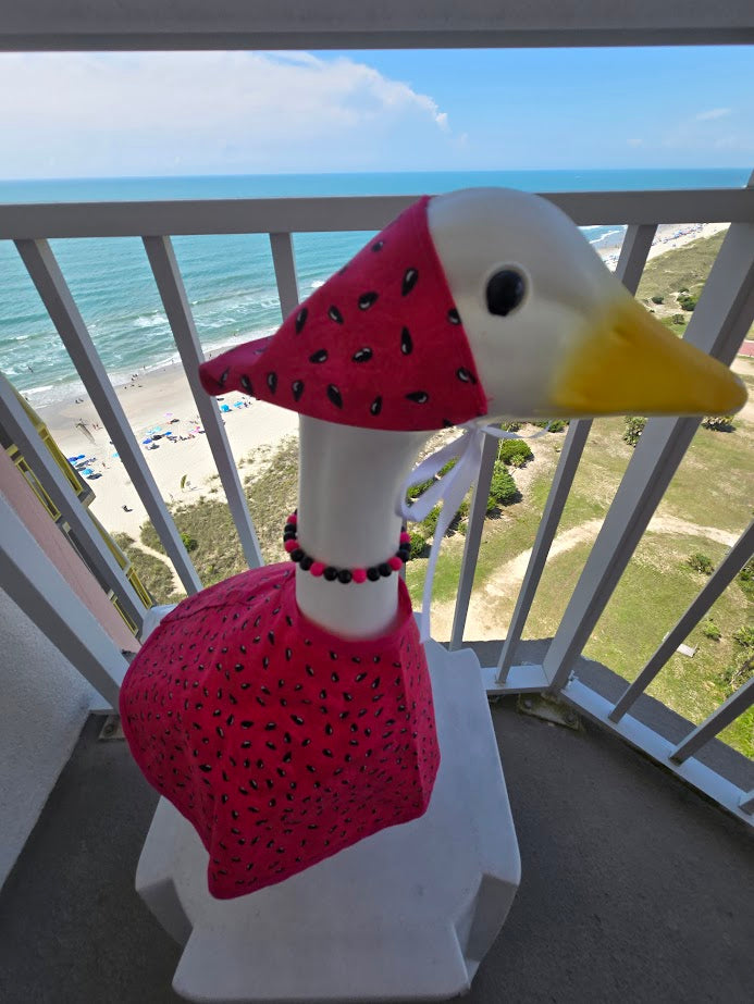 Watermelon Whimsy Porch Goose Outfit