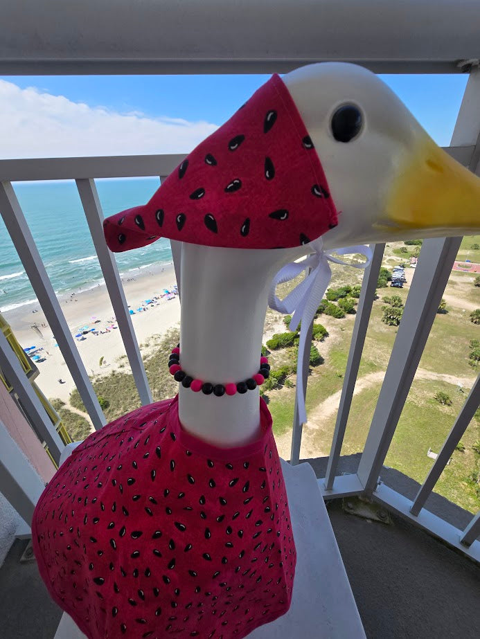 Watermelon Whimsy Porch Goose Outfit