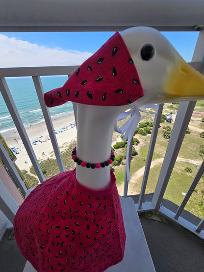 Watermelon Whimsy Porch Goose Outfit