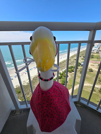 Watermelon Whimsy Porch Goose Outfit