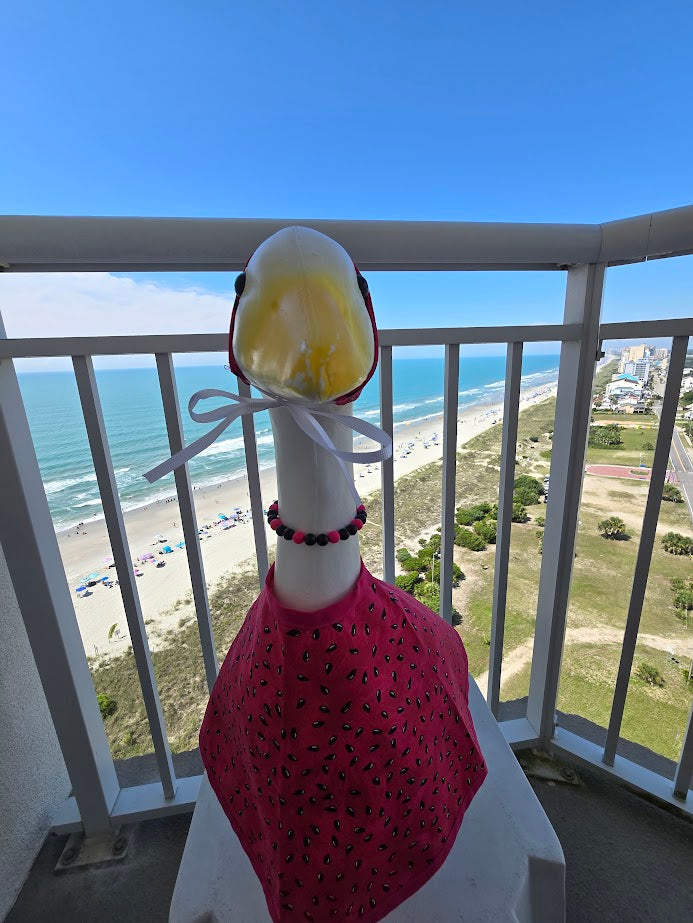Watermelon Whimsy Porch Goose Outfit