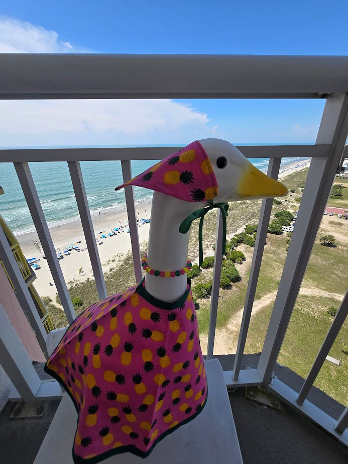 Pink Pineapple Porch Goose Outfit