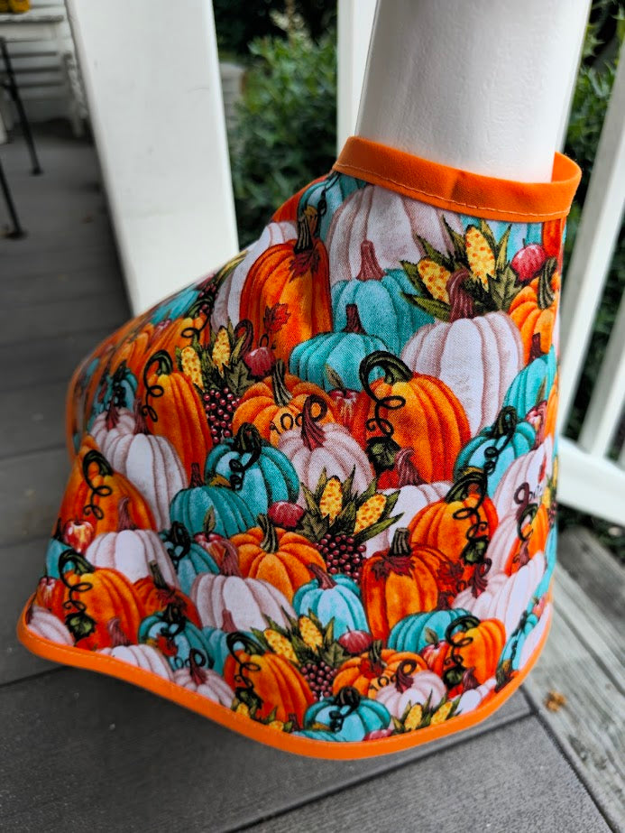Pumpkin Patch Porch Goose Outfit