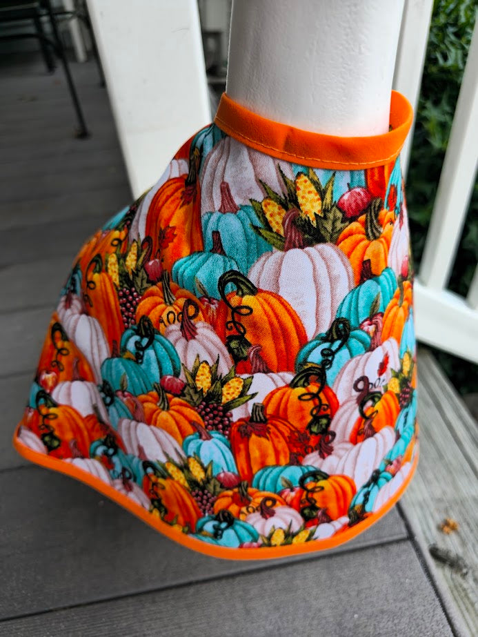 Pumpkin Patch Porch Goose Outfit