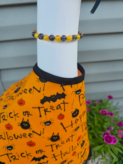 Trick or Treat Halloween Porch Goose Outfit