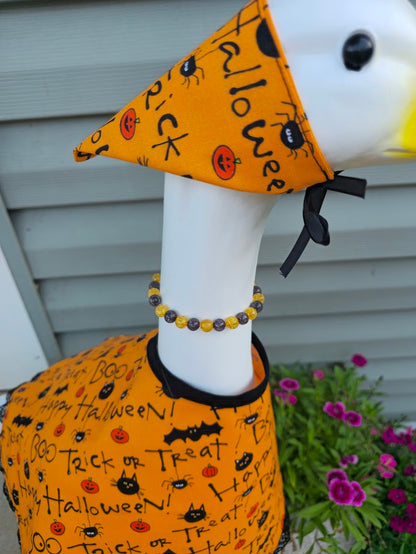 Trick or Treat Halloween Porch Goose Outfit