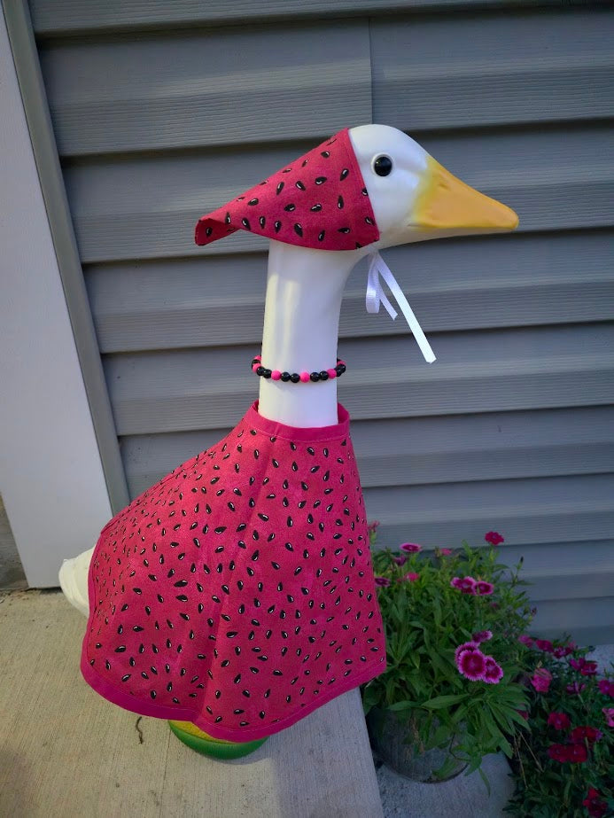 Watermelon Whimsy Porch Goose Outfit