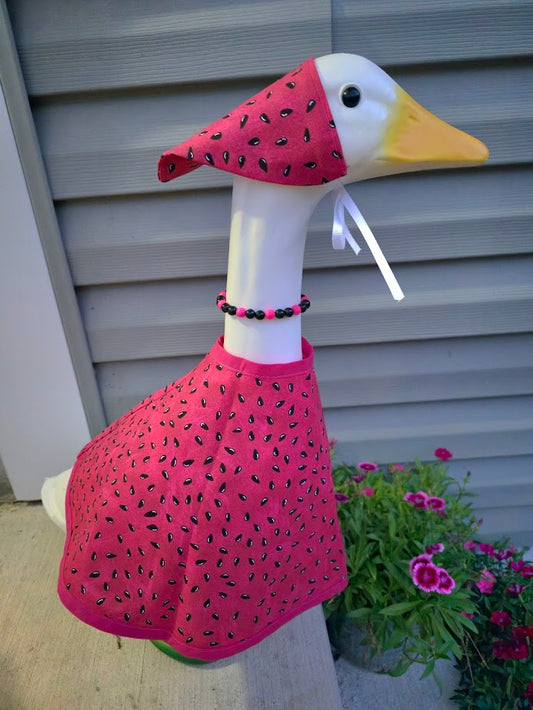 Watermelon Whimsy Porch Goose Outfit
