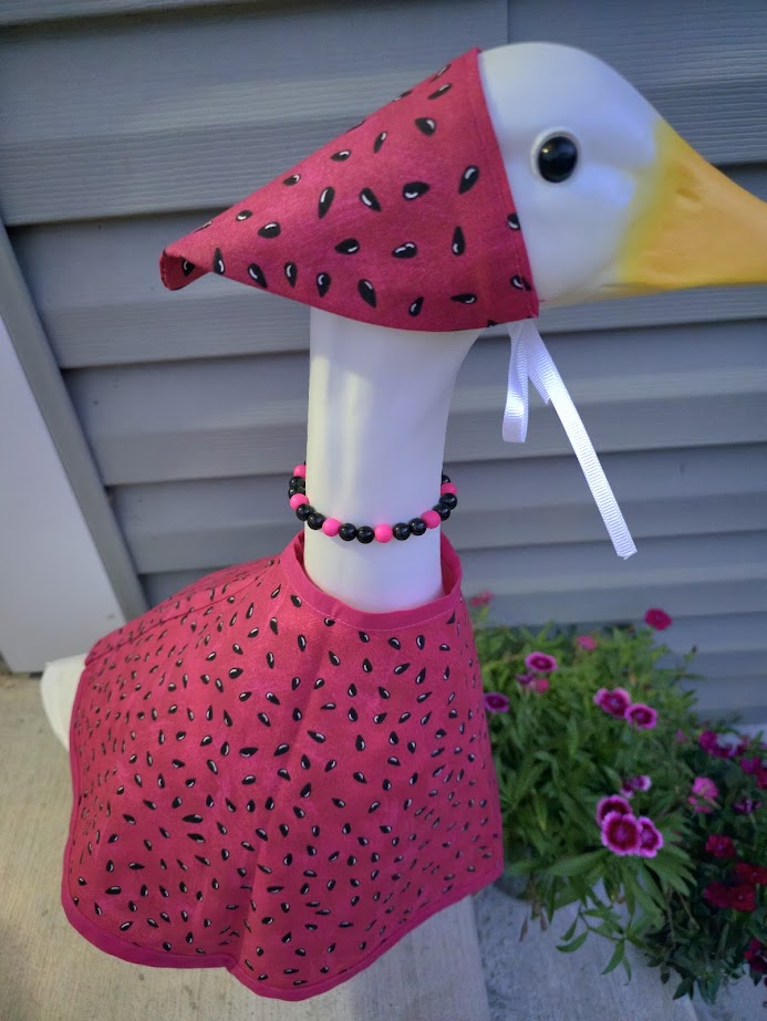 Watermelon Whimsy Porch Goose Outfit