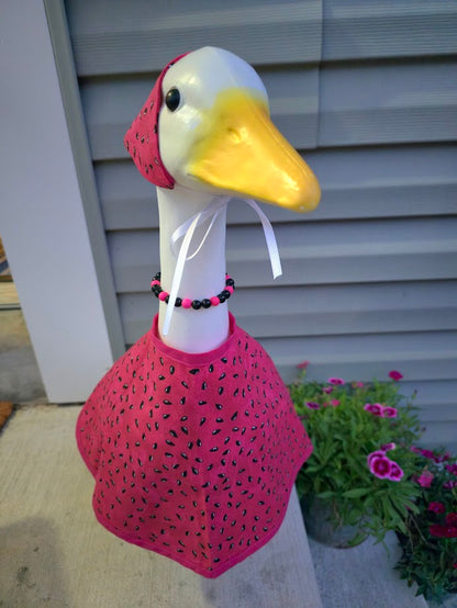 Watermelon Whimsy Porch Goose Outfit