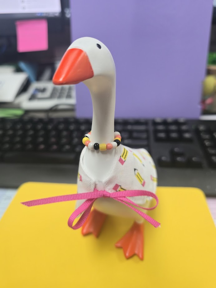 Pencil Parade Desk Goose Outfit