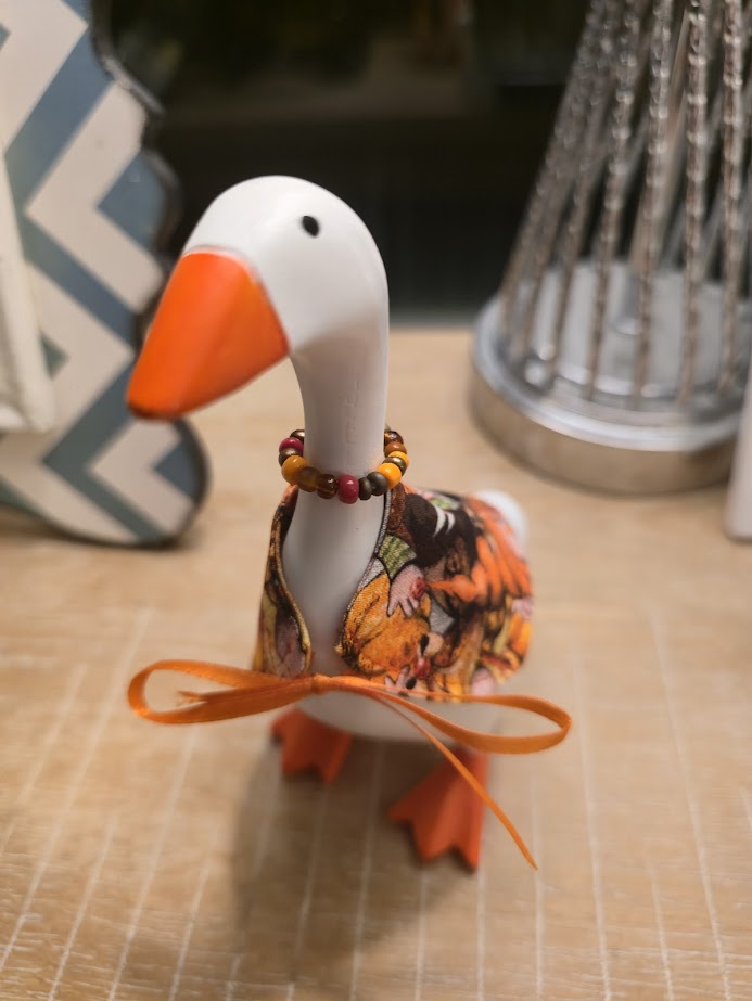 Thanksgiving Turkey Desk Goose Outfit