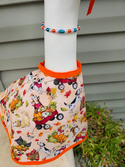 Pumpkin Patch Pets Porch Goose Outfit