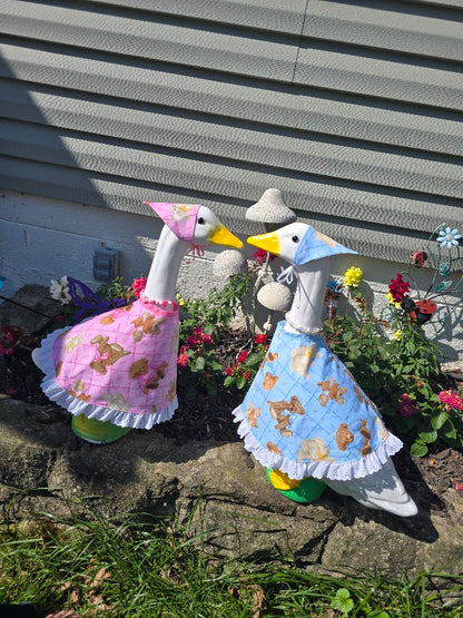 Gender Reveal Porch Goose Outfit Set  🩷🩵