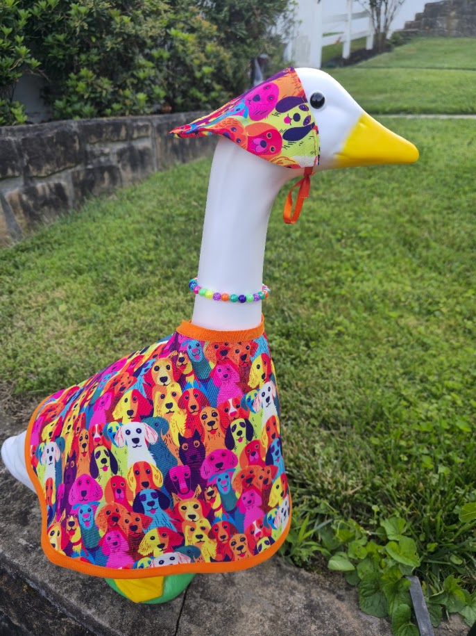 Colorful Dogs Porch Goose Outfit