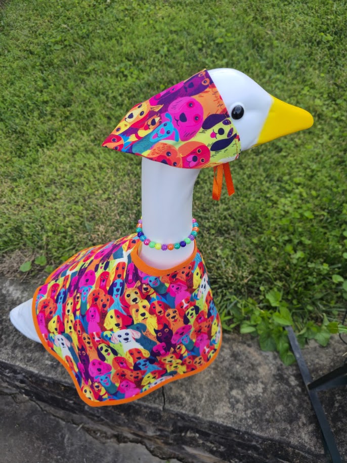 Colorful Dogs Porch Goose Outfit