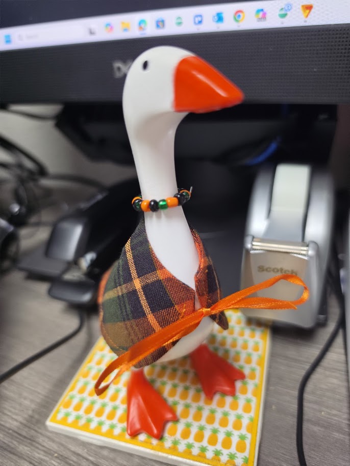 Autumn Plaid Desk Goose Outfit