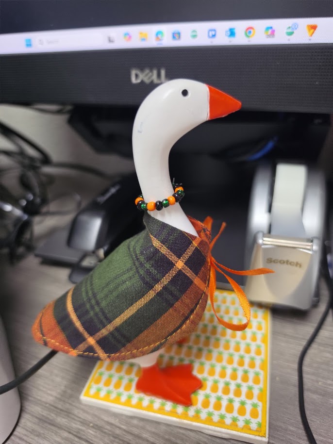Autumn Plaid Desk Goose Outfit