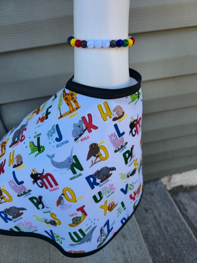 Alphabet Adventure Porch Goose Outfit
