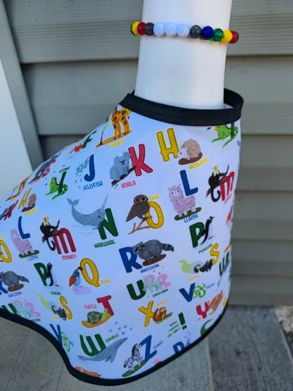 Alphabet Adventure Porch Goose Outfit